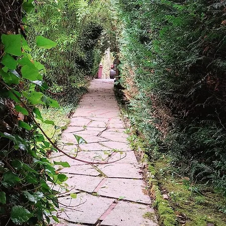 De Charme Dans Son Ecrin De Verdure